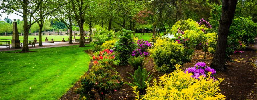 Gardens at Downtown Park, in Bellevue, Washington.