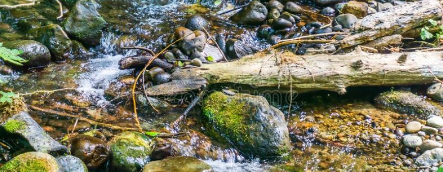 Flaming Geyser State Park